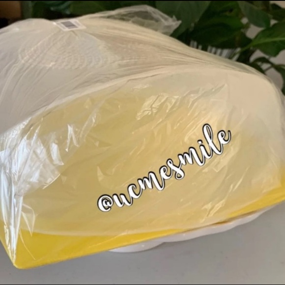 Tupperware Large Cheese SmartCheese Keeper - Picture 5 of 9